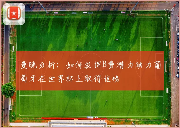 曼晚分析：如何发挥B费潜力助力葡萄牙在世界杯上取得佳绩