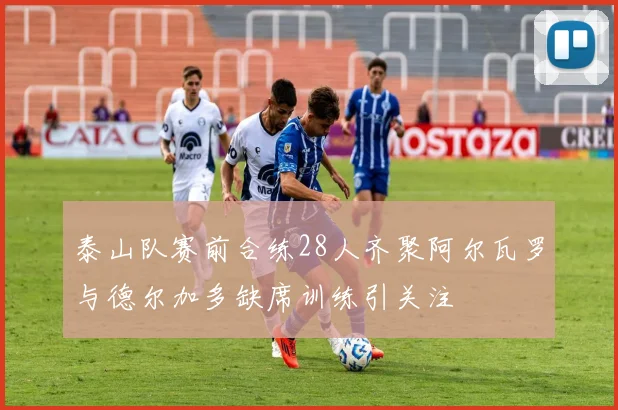 泰山队赛前合练28人齐聚阿尔瓦罗与德尔加多缺席训练引关注